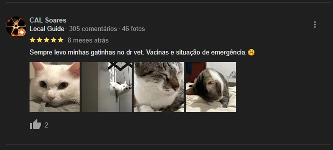 depovet3.webp